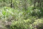 Fassifern NSWsustainable-landscaping-21.jpg; ?>